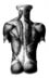 back
